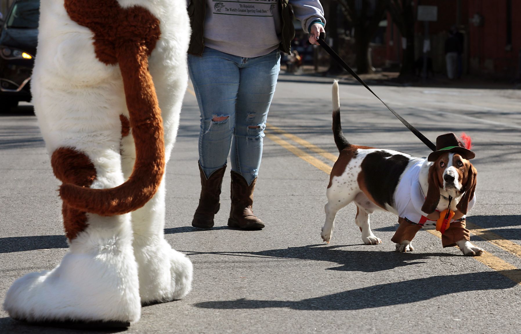 Purina Pet Parade barks through Soulard